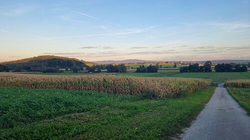 © Bild: LID Fotodatenbank